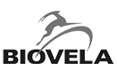 https://languagecoaching.lt/img/biovela.png